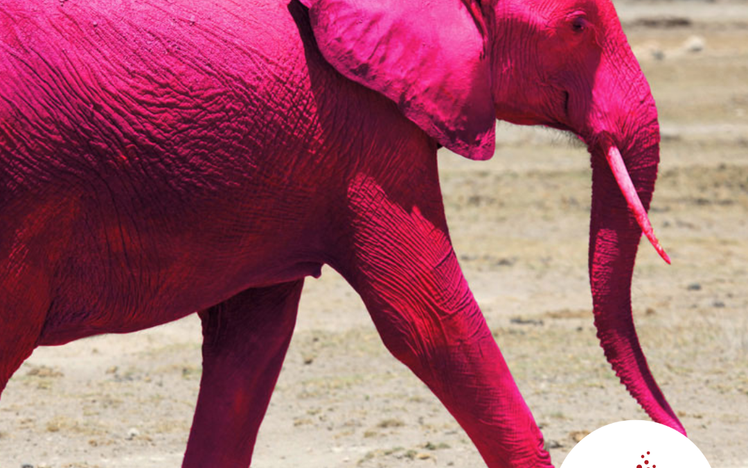 psychologie en ondernemen roze olifant
