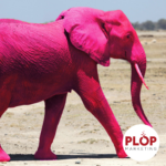 psychologie en ondernemen roze olifant