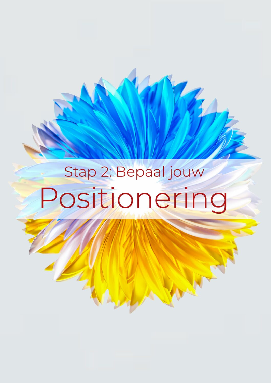 Ontwerp zonder titel-6 kopie