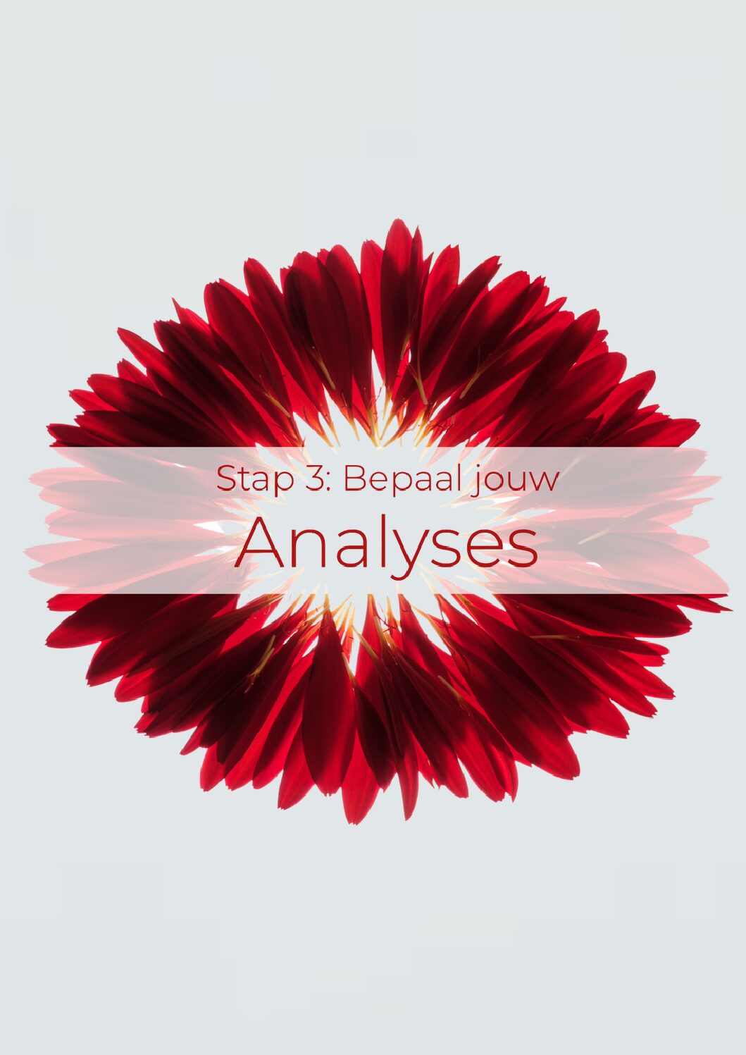 Ontwerp zonder titel-6 kopie 2