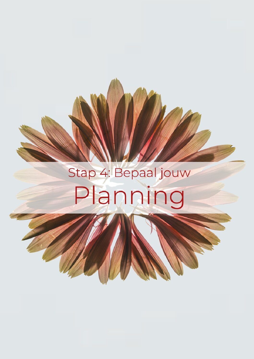 Ontwerp zonder titel-6 kopie 3